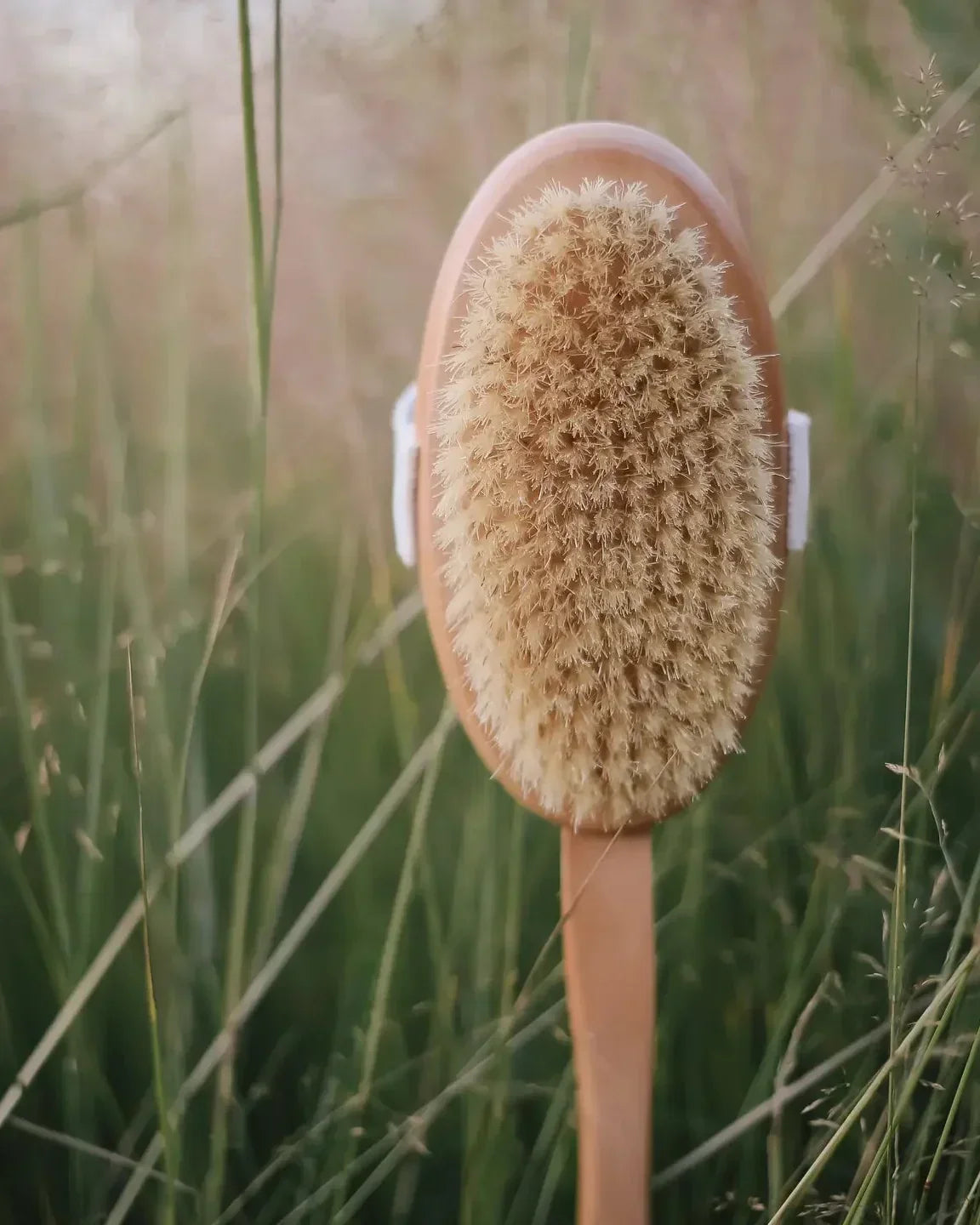 Wooden Body Brush With Handle